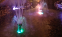 2012_Kranj_051