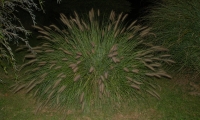 2012_Kranj_115