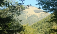 2012_Kranj_353