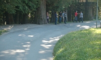 2012_Kranj_374